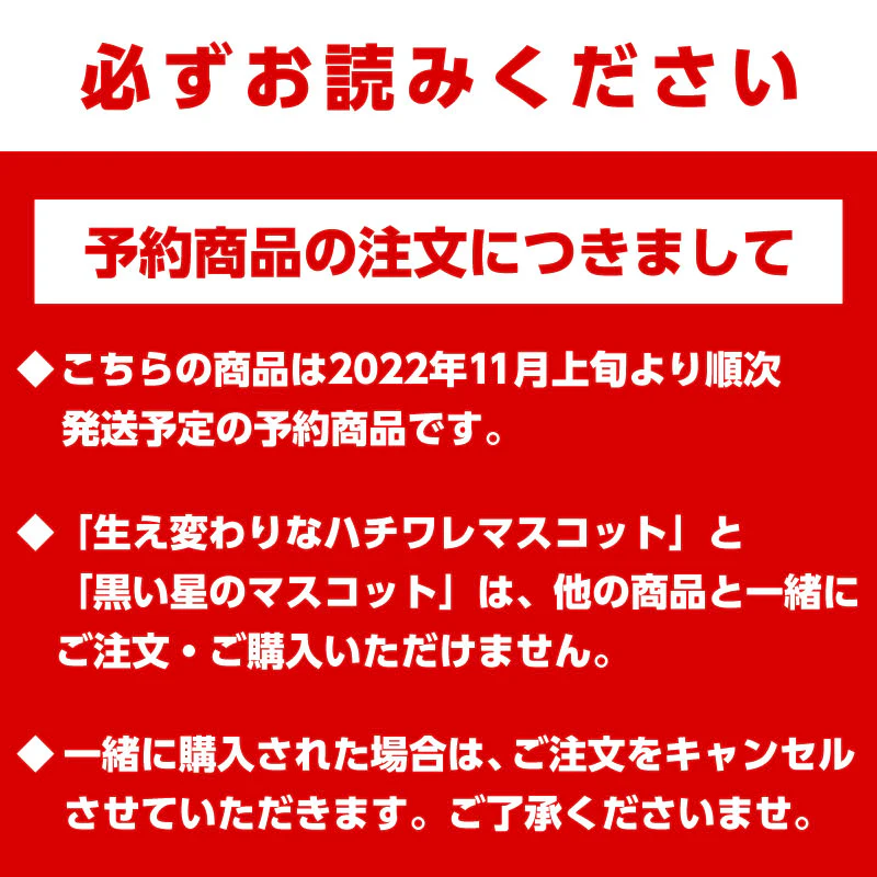【予約】ちいかわ 黒い星のマスコット【2022年11月上旬より順次発送予定】【通常商品と同時購入・配送希望日指定不可】【キャンペーン対象外】 - Image 9